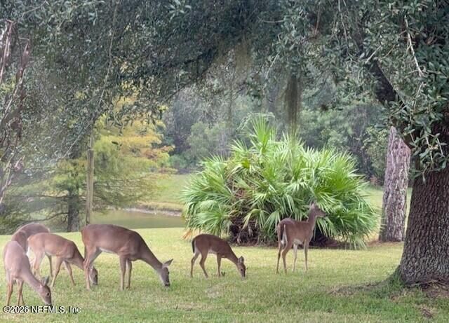 2607 CREEKFRONT Drive, Green Cove Springs, FL 32043