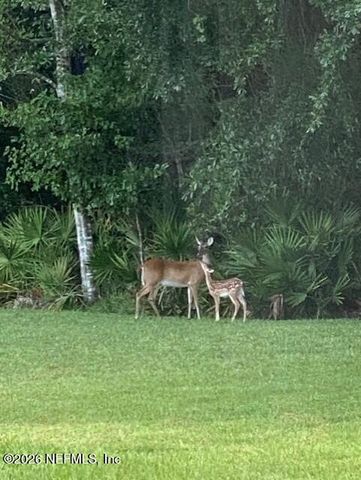 2607 CREEKFRONT Drive, Green Cove Springs, FL 32043