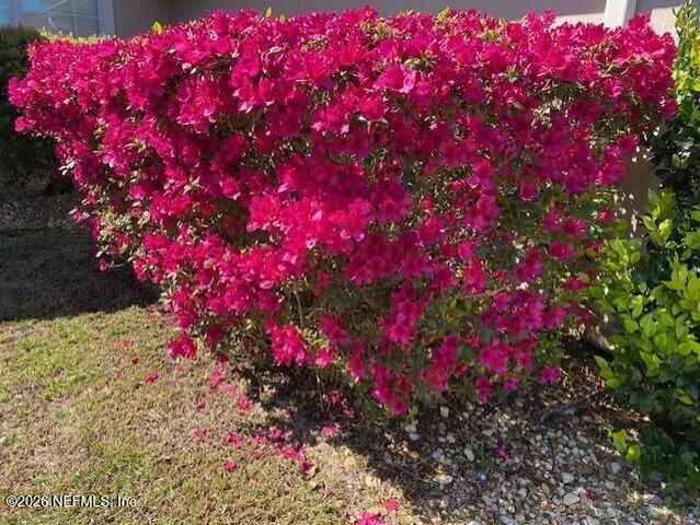 2607 CREEKFRONT Drive, Green Cove Springs, FL 32043