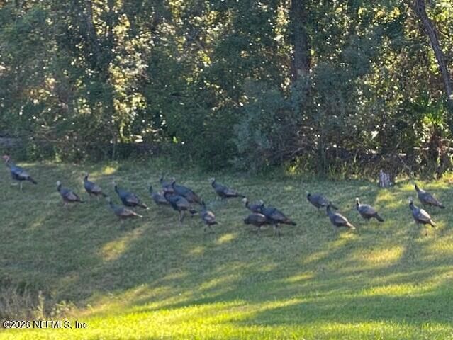 2607 CREEKFRONT Drive, Green Cove Springs, FL 32043