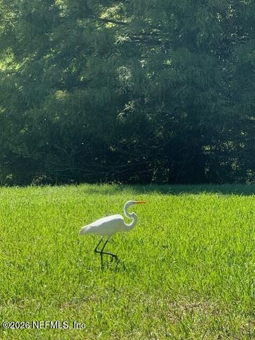 2607 CREEKFRONT Drive, Green Cove Springs, FL 32043