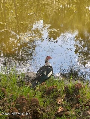 2607 CREEKFRONT Drive, Green Cove Springs, FL 32043