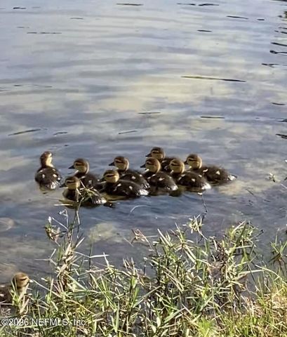 2607 CREEKFRONT Drive, Green Cove Springs, FL 32043