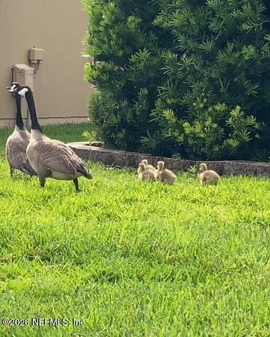 2607 CREEKFRONT Drive, Green Cove Springs, FL 32043