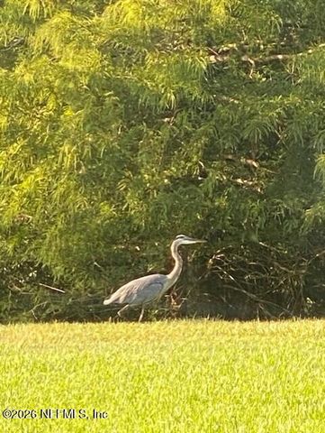 2607 CREEKFRONT Drive, Green Cove Springs, FL 32043