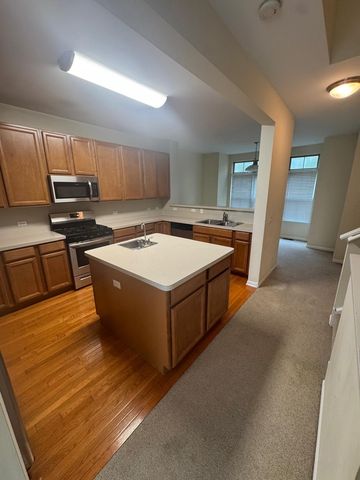 707 N Telluride Court, Vernon Hills, IL 60061