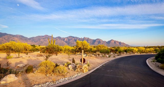14 W Shimmering Sand Place Lot 494, Oro Valley, AZ 85755