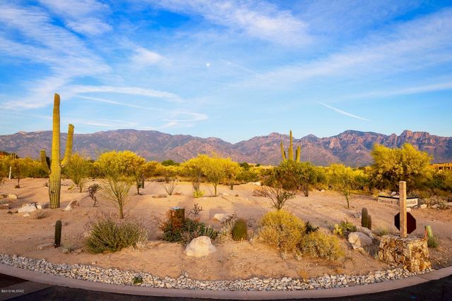 14 W Shimmering Sand Place Lot 494, Oro Valley, AZ 85755