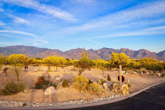 14 W Shimmering Sand Place Lot 494, Oro Valley, AZ 85755