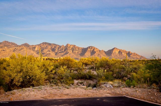 14 W Shimmering Sand Place Lot 494, Oro Valley, AZ 85755