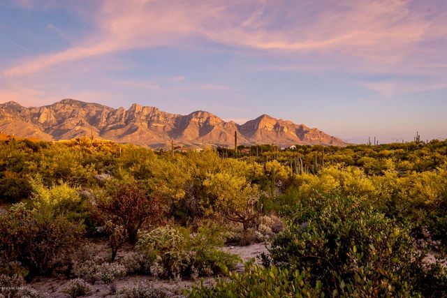 14 W Shimmering Sand Place Lot 494, Oro Valley, AZ 85755