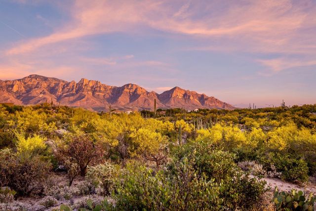 14 W Shimmering Sand Place Lot 494, Oro Valley, AZ 85755
