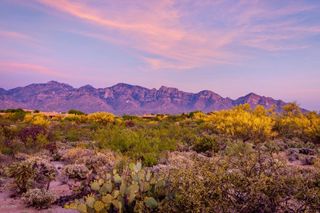 14 W Shimmering Sand Place Lot 494, Oro Valley, AZ 85755