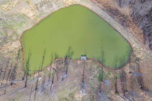 2656 CURVE WOODVILLE RD, Ripley, TN 38063