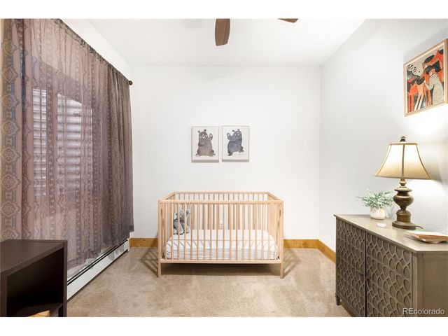 10248 S Turkey Creek Rd, Morrison, CO 80465