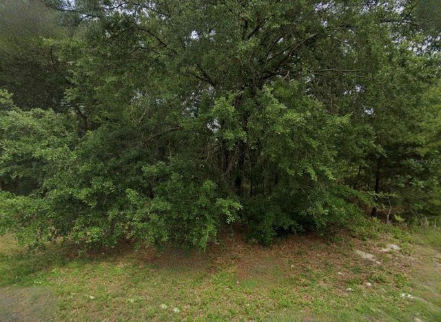 UNASSIGNED, Ocala, FL 34473
