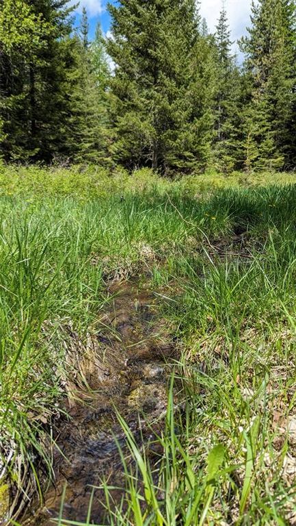 420 Little Creek Lane, Whitefish, MT 59937 photo 71