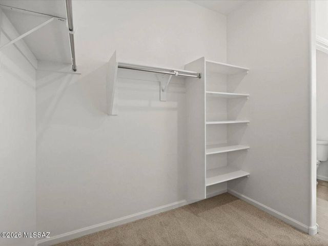 12688 N Fire Brand Street, Marana, AZ 85658