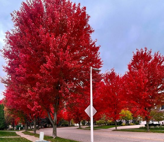 1017 Fox Knoll Drive SW, Rochester, MN 55902