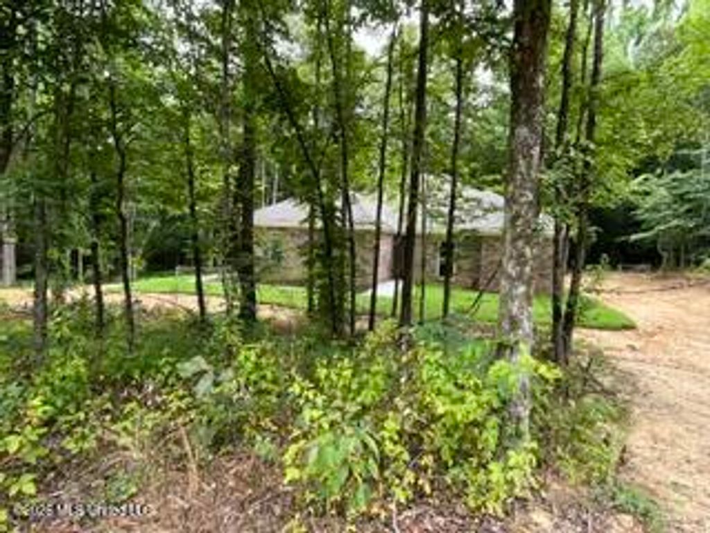 1970 Smart Road, Como, MS 38619 — photo 4