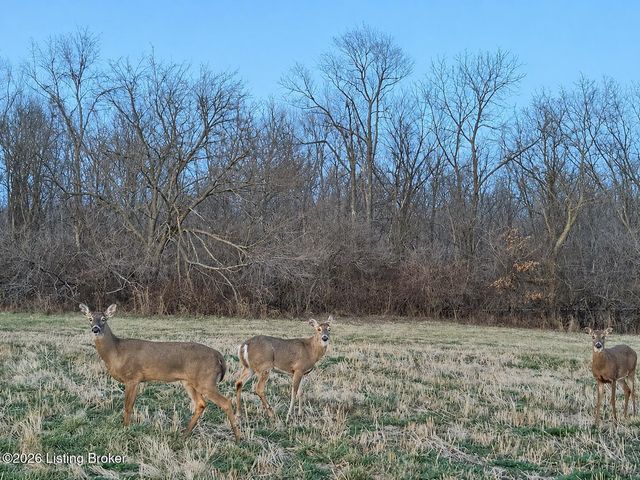 2073 Carnegie Dr, Shelbyville, KY 40065