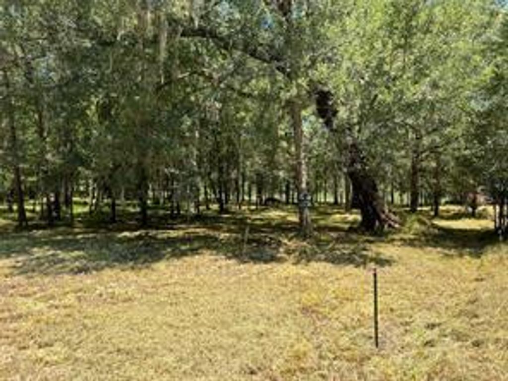 000 Sour Lake Circle, Cleveland, TX 77327