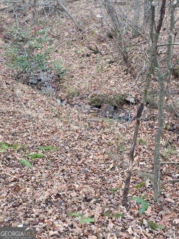 300 Burbano Creekside Landing, Talking Rock, GA 30175