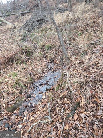 300 Burbano Creekside Landing, Talking Rock, GA 30175