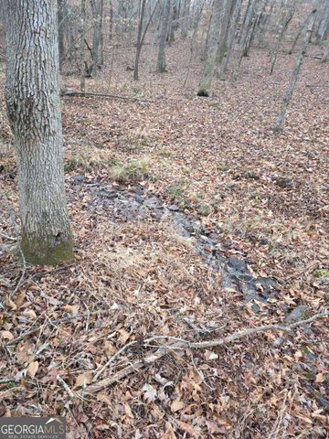300 Burbano Creekside Landing, Talking Rock, GA 30175