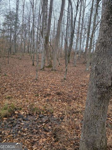 300 Burbano Creekside Landing, Talking Rock, GA 30175