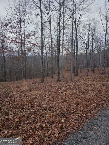 300 Burbano Creekside Landing, Talking Rock, GA 30175