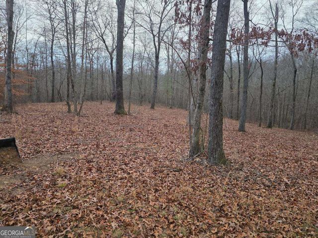 300 Burbano Creekside Landing, Talking Rock, GA 30175