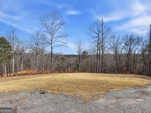 300 Burbano Creekside Landing, Talking Rock, GA 30175