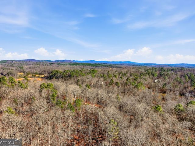 300 Burbano Creekside Landing, Talking Rock, GA 30175