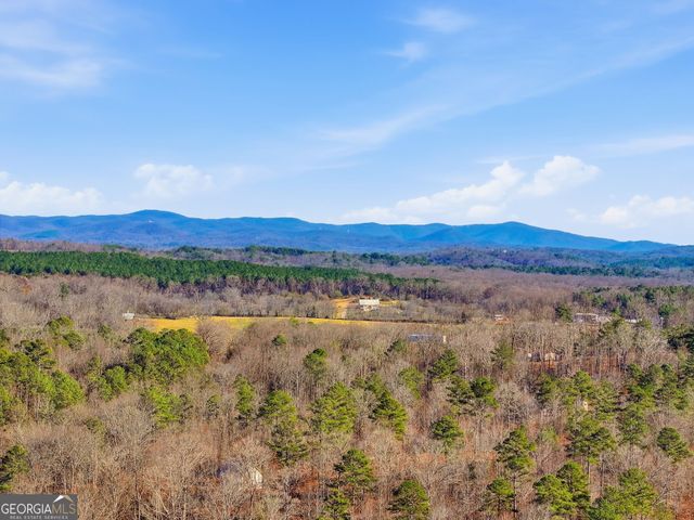 300 Burbano Creekside Landing, Talking Rock, GA 30175