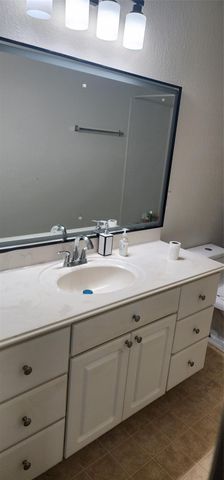 13230 Skyviewgreen Drive, Houston, TX 77047