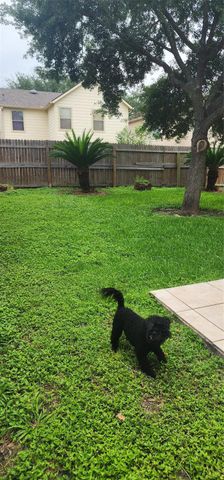 13230 Skyviewgreen Drive, Houston, TX 77047