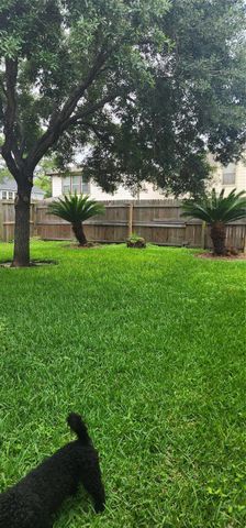 13230 Skyviewgreen Drive, Houston, TX 77047