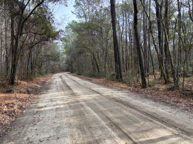 0 Hercules Lane, Mcclellanville, SC 29458