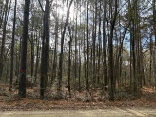 0 Hercules Lane, Mcclellanville, SC 29458