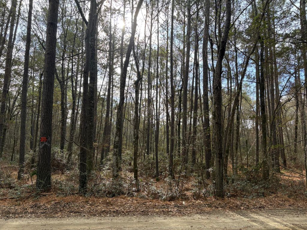 0 Hercules Lane, Mcclellanville, SC 29458