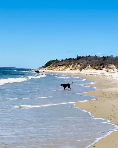 53 Stoney Hill Road, West Tisbury, MA 02575