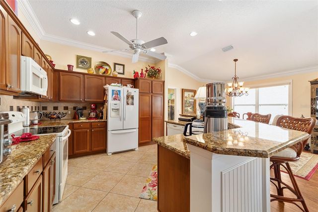 418 FLOSSMOOR COURT, The Villages, FL 32162