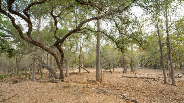 TBD TRACT 2 FM 3158, Dale, TX 78616