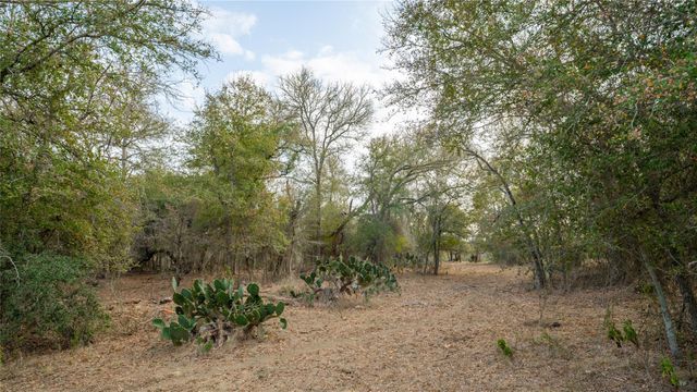 TBD TRACT 2 FM 3158, Dale, TX 78616