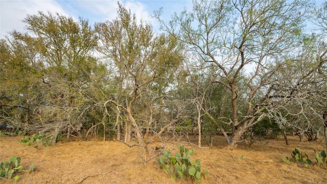 TBD TRACT 2 FM 3158, Dale, TX 78616