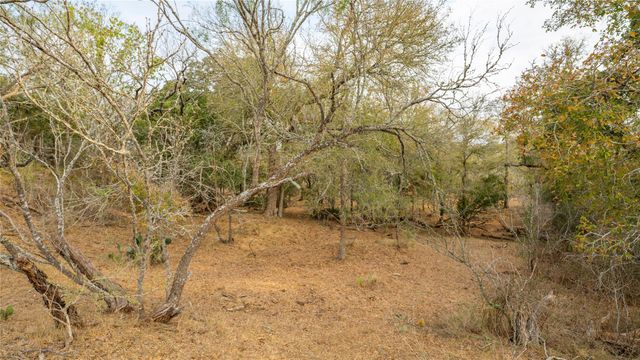 TBD TRACT 2 FM 3158, Dale, TX 78616