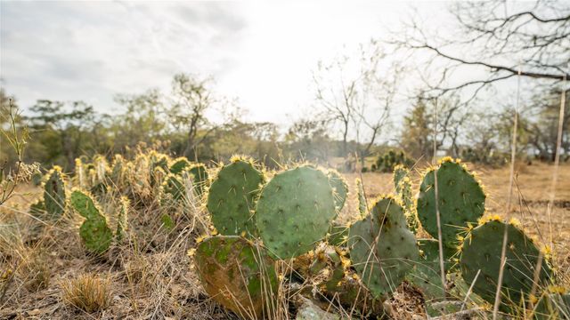TBD TRACT 2 FM 3158, Dale, TX 78616