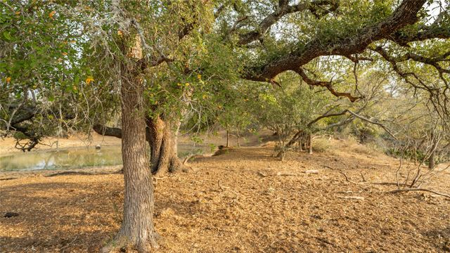 TBD TRACT 2 FM 3158, Dale, TX 78616