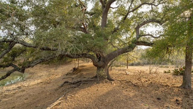 TBD TRACT 2 FM 3158, Dale, TX 78616
